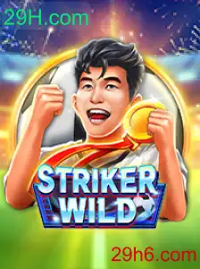 Descubra o Empolgante Mundo de StrikerWILD